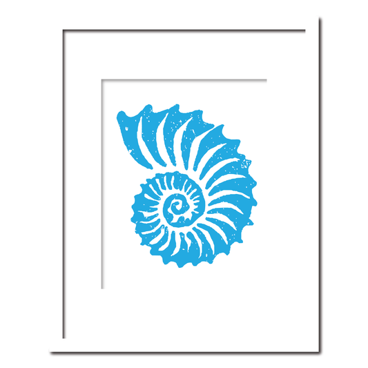 Ammonite Shell