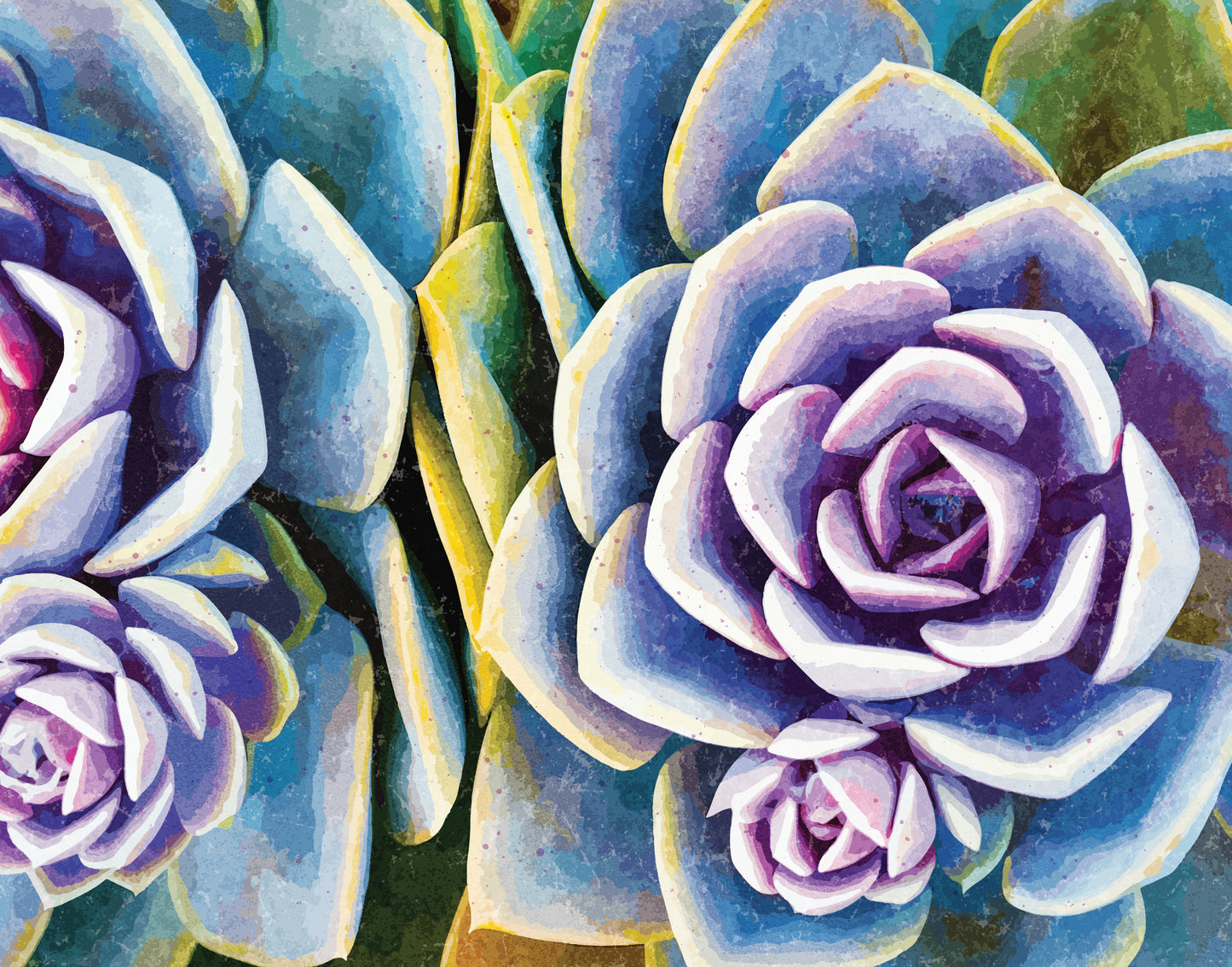 Colorful Succulents