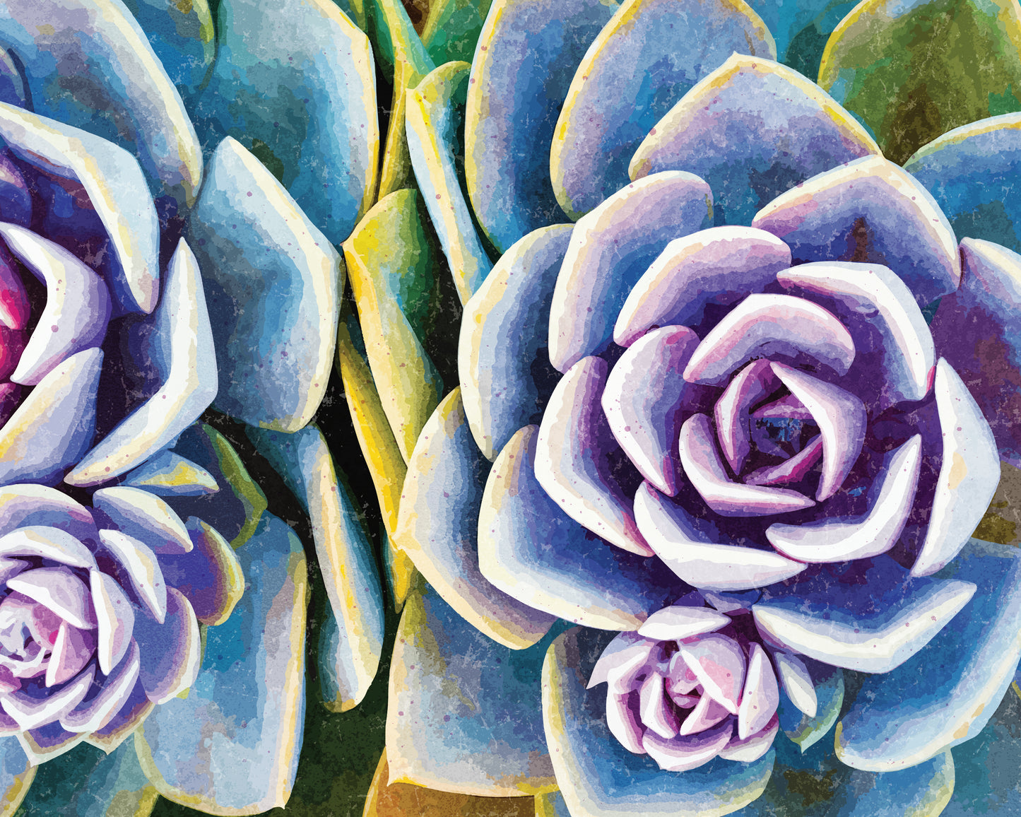 Colorful Succulents