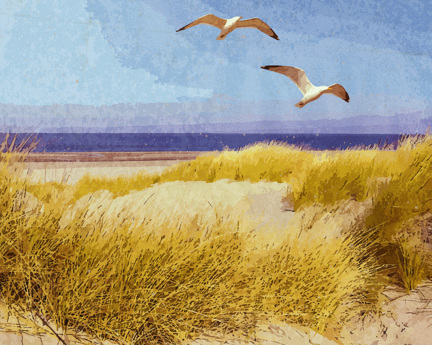 Maine Seashore