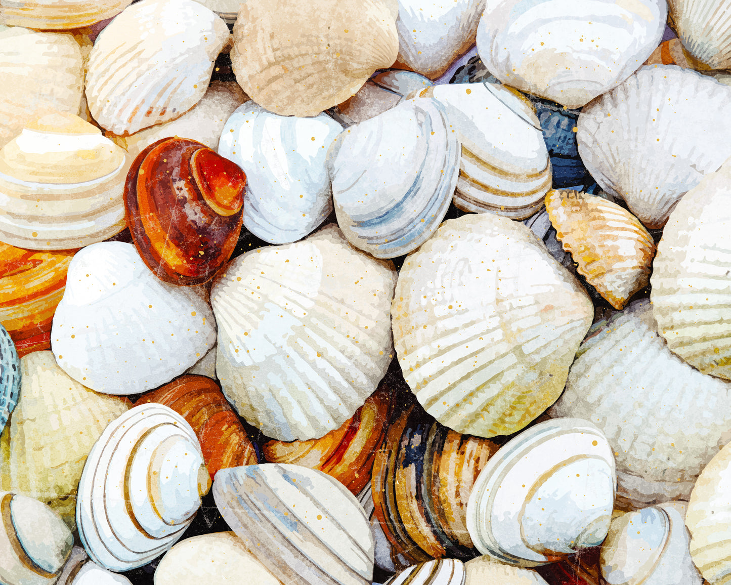 Seashells