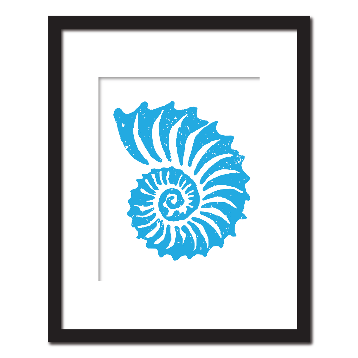 Ammonite Shell