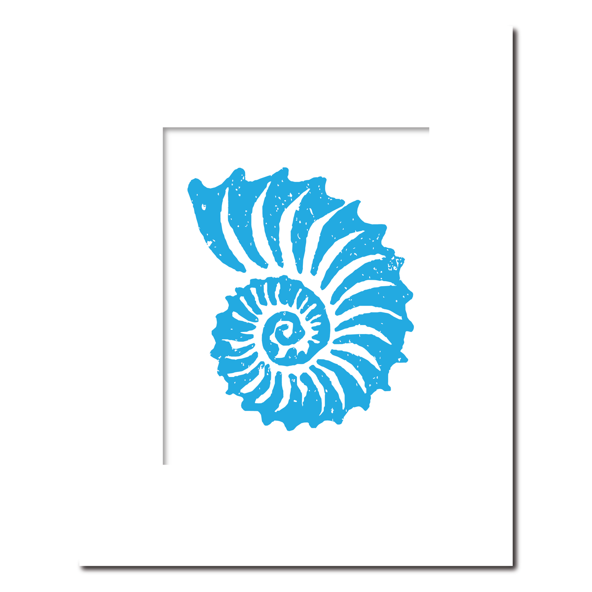 Ammonite Shell