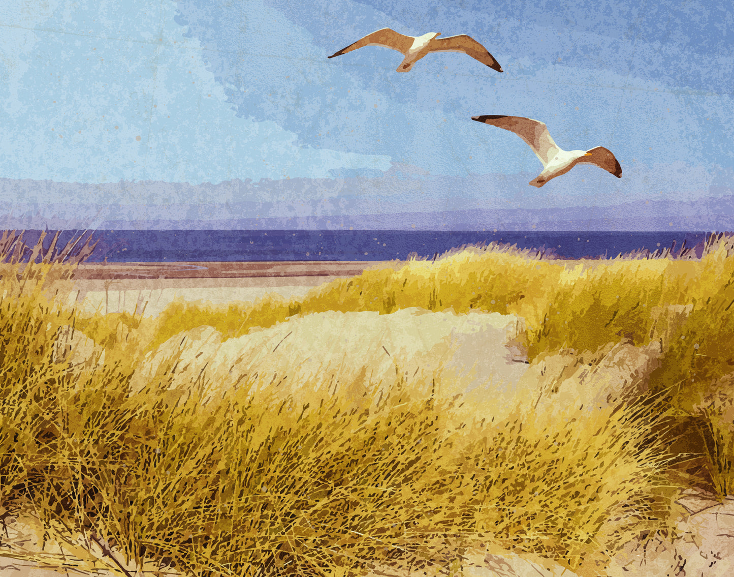 Maine Seashore
