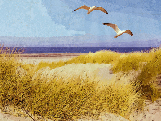 Maine Seashore