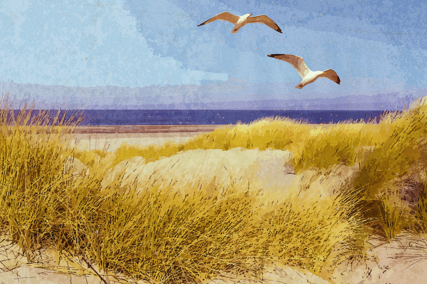 Maine Seashore