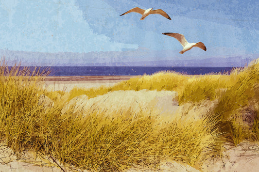 Maine Seashore